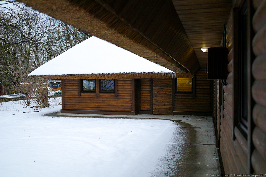 Проще — не всегда правильнее: в Калининградском зоопарке отремонтировали исторические вольеры (фото)