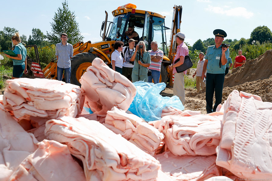 Похороны сала: как под Калининградом санкционную еду уничтожали