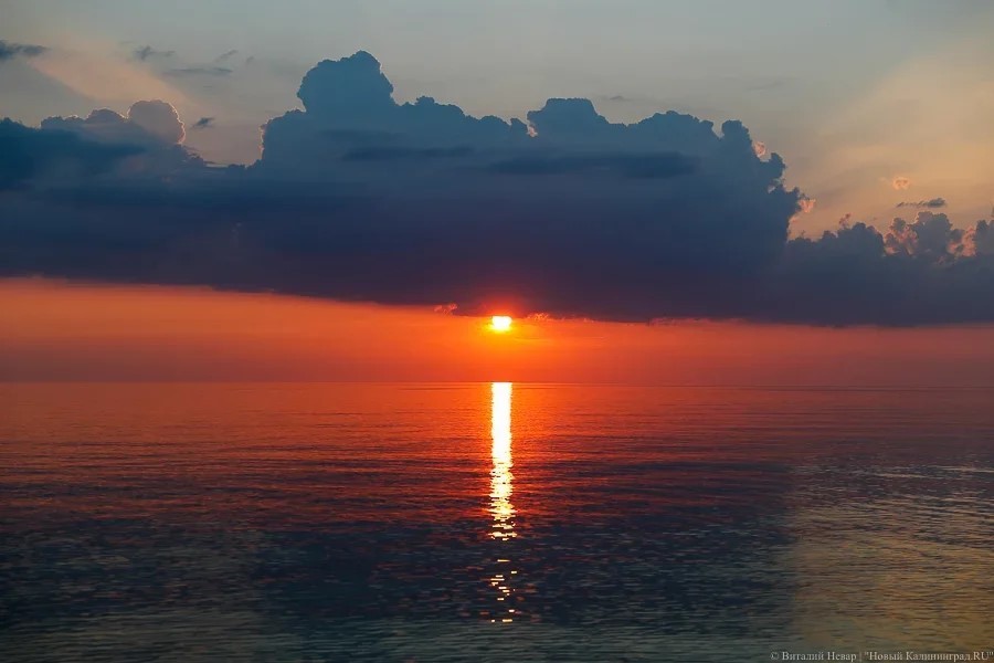 Прошедшая зима в Калининграде стала самой теплой за историю метеонаблюдений