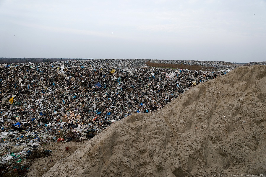 Алиханов о вывозе мусора в Правдинске: «Где размещались эти отходы?»