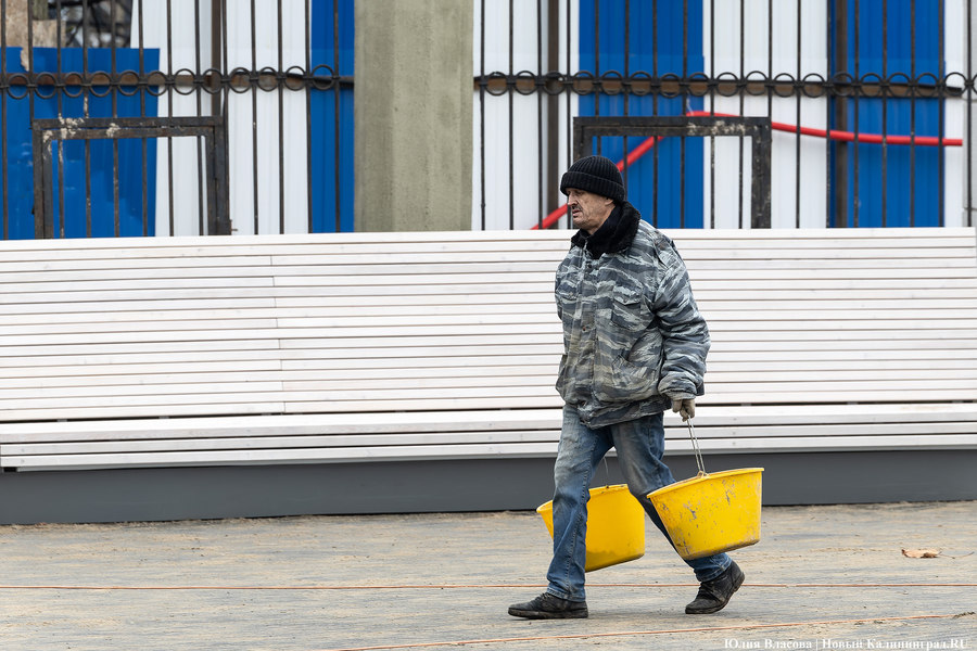 В трех соснах: как выглядит благоустроенная территория у стадиона «Балтика» (фото)