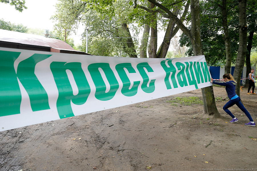 Все бежали, и я побежал: как прошел «Кросс наций» в Калининграде (фото)