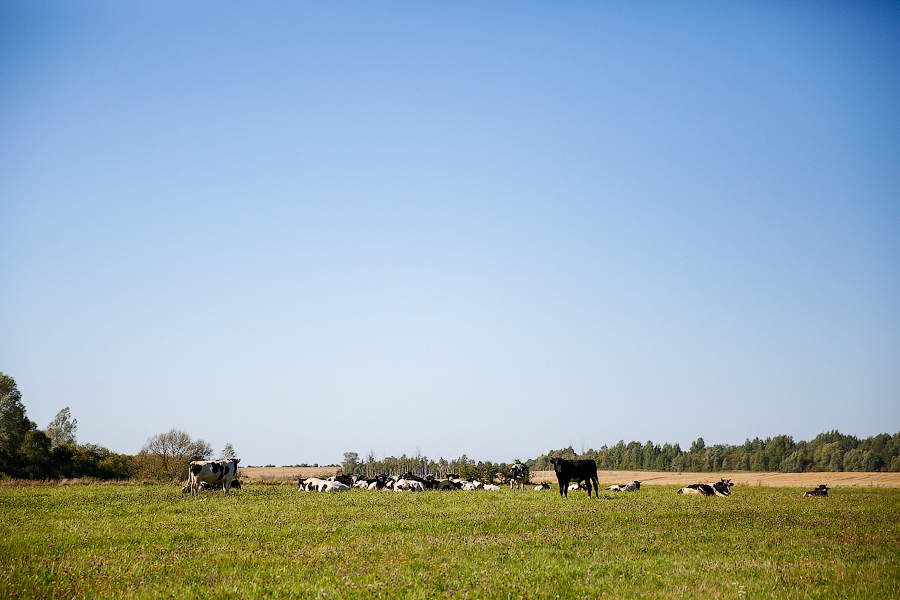 Огнеопасная «Акация»: на полигоне вблизи границы с Литвой прошли учения Балтфлота