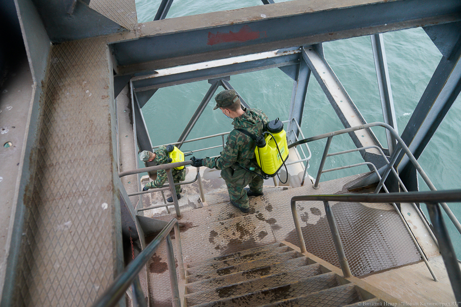 Ты не пройдешь: Балтфлот продезинфицировал от коронавируса 33-ий судоремзавод (фото)