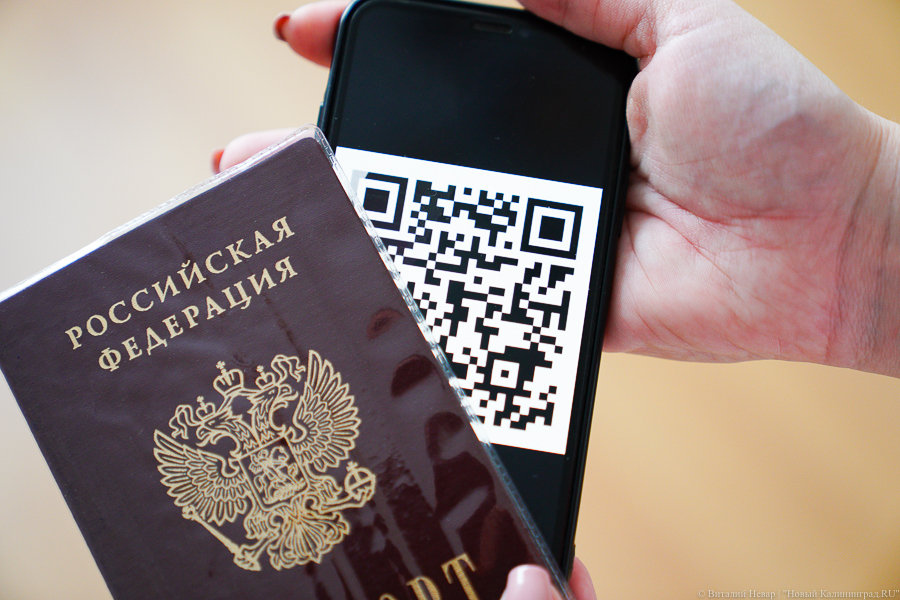 QR-коды по результатам теста на антитела начнут выдавать с 21 февраля