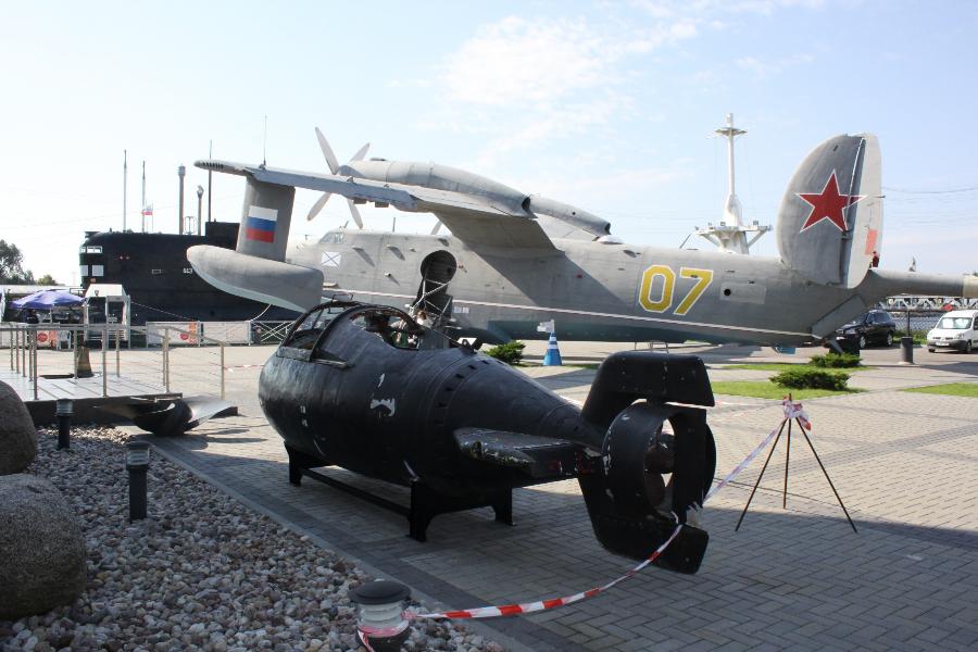 Фото предоставлено пресс-службой Музея Мирового океана.