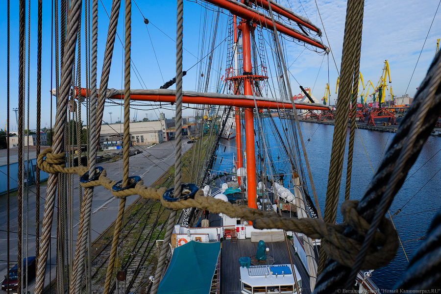 Паруснику «Седов» исполняется 100 лет. Вспоминаем главное из его истории (фото)