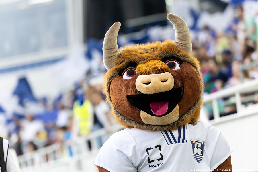 Лучшая награда: главные моменты победного матча «Балтики» (фото)