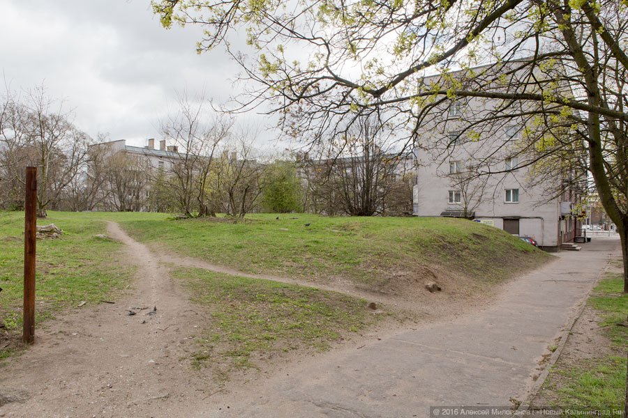 Олег Шкиль: около Дома искусств планируем построить кинотеатр