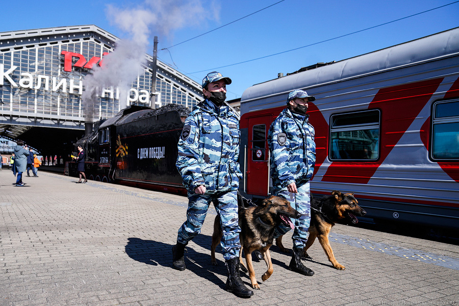 Паровозик, который смог: в Калининграде запускают ретропоезд для туристов (фото)