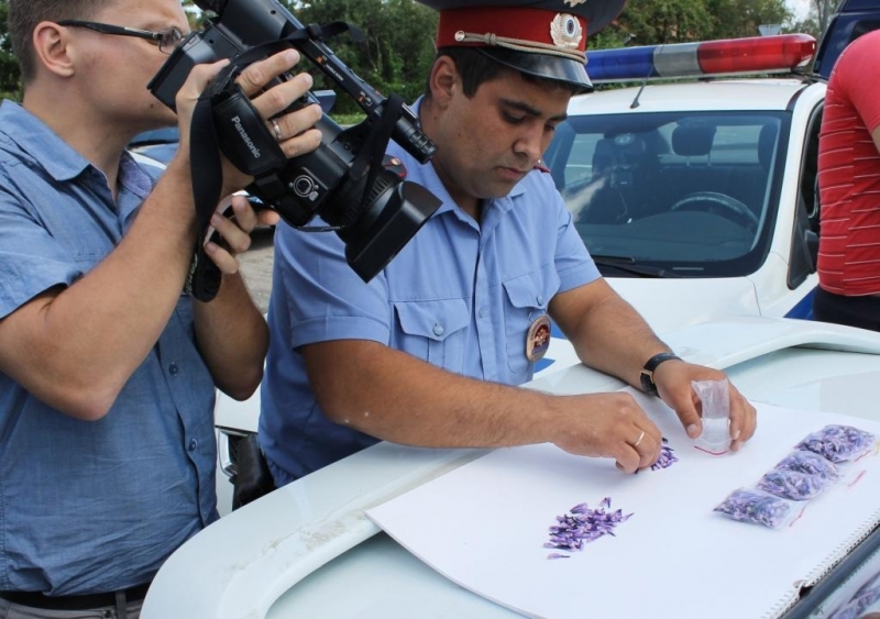 ГИБДД задержала девушек с крупной партией наркотиков в буханках хлеба (фото)