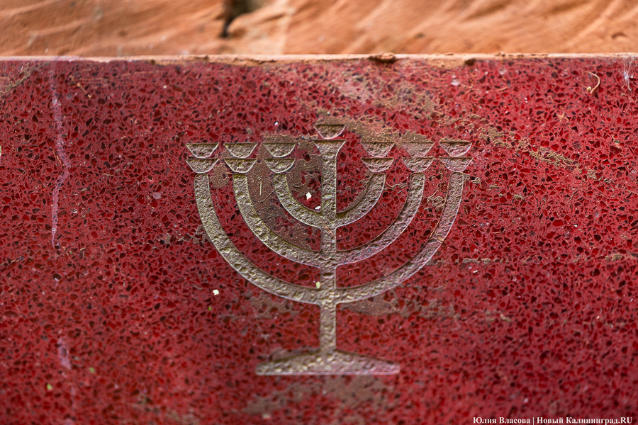 «Золотое место»: на территории еврейского кладбища планируют обустроить мемориальный парк   ﻿