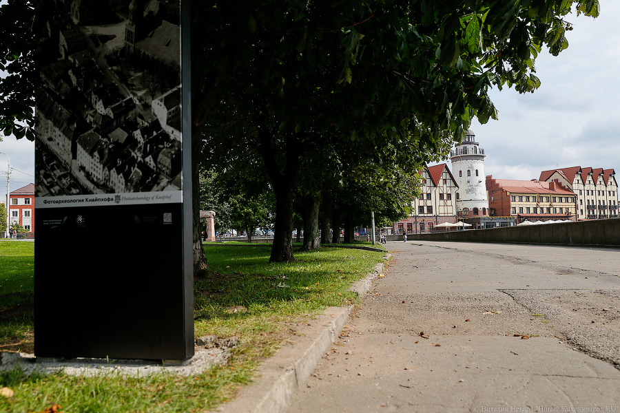 Прогулки по Кнайпхофу: о чём рассказывают новые стенды на острове Канта