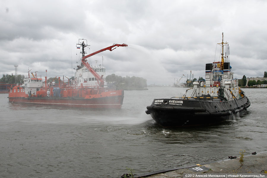 «Под флагом Башара»: фоторепортаж с антитеррористических учений