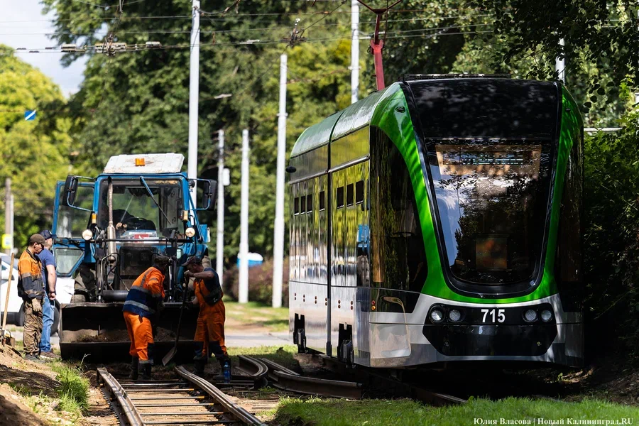 Власти Калининграда ищут подрядчиков на проекты капремонта трамвайных линий (список)