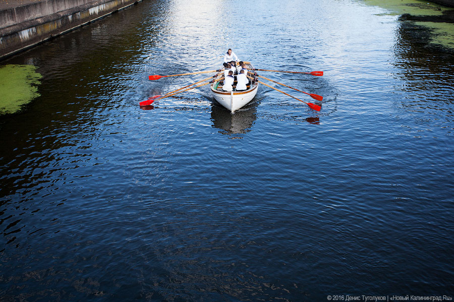 Суши весла!: в Калининграде состоялась международная «Прегельская регата»