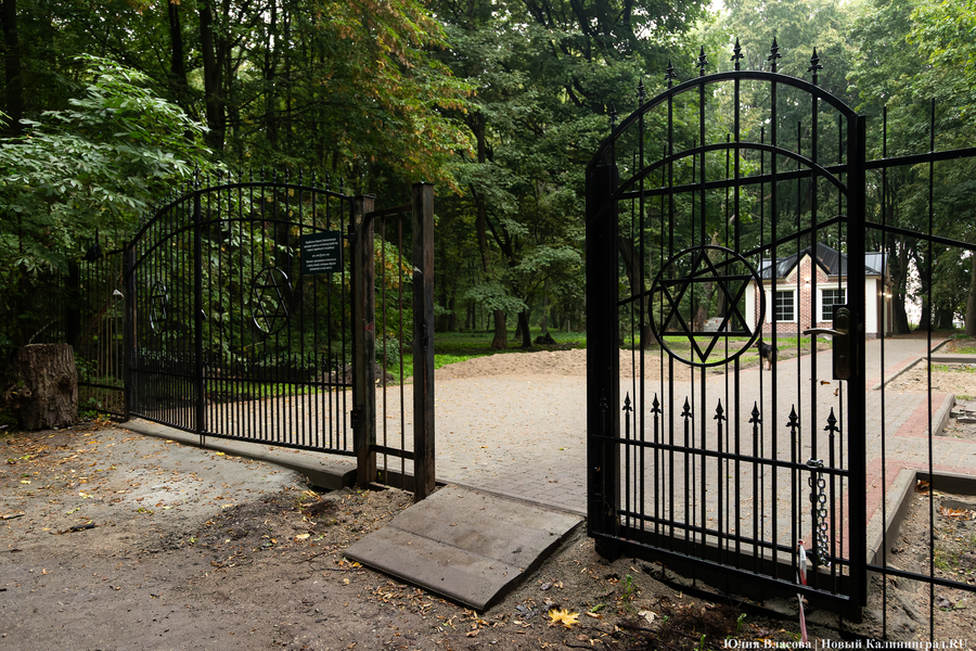 В Калининграде начали благоустраивать старое еврейское кладбище (фото)