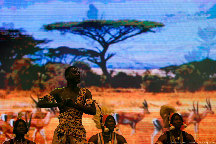 Да здравствует милая Африка!: второй день фестиваля «Территория мира»