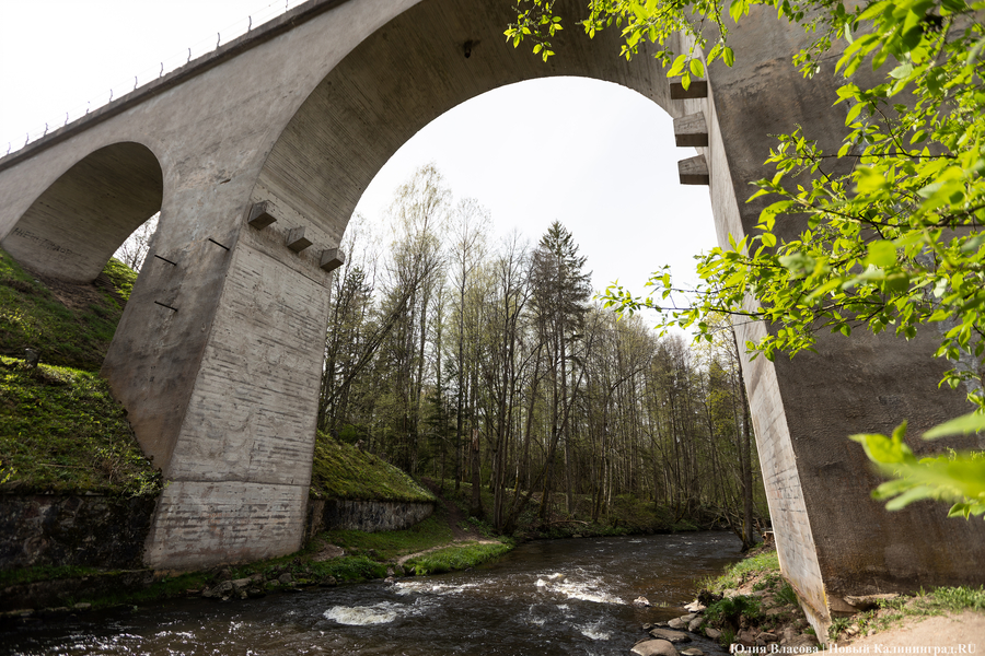 «С жителями снова не посчитались»: что принесет региону создание нового нацпарка (фото)