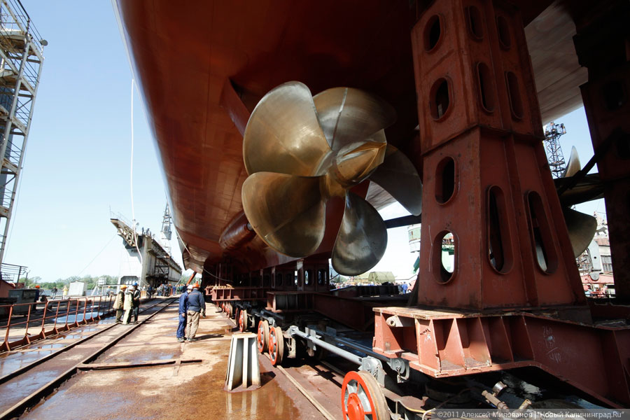 "Индийский «Лук»": репортаж "Нового Калининграда.Ru"