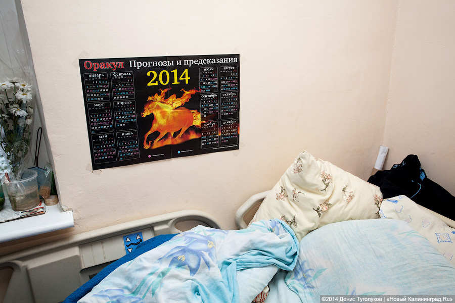 Доктор Лиза о хосписе в Калининграде: «Я в ужасе от вашего правительства»