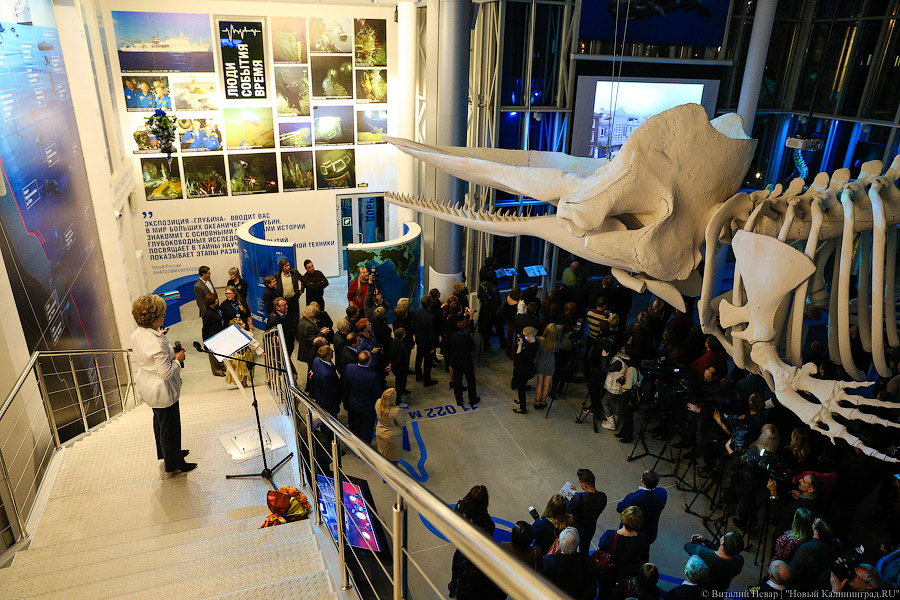 На уникальной глубине: что представляет собой новый комплекс ММО