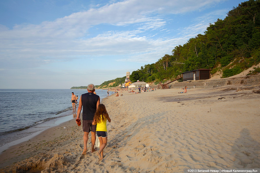 А жук и ныне там: мертвые насекомые разлагаются на побережьях области