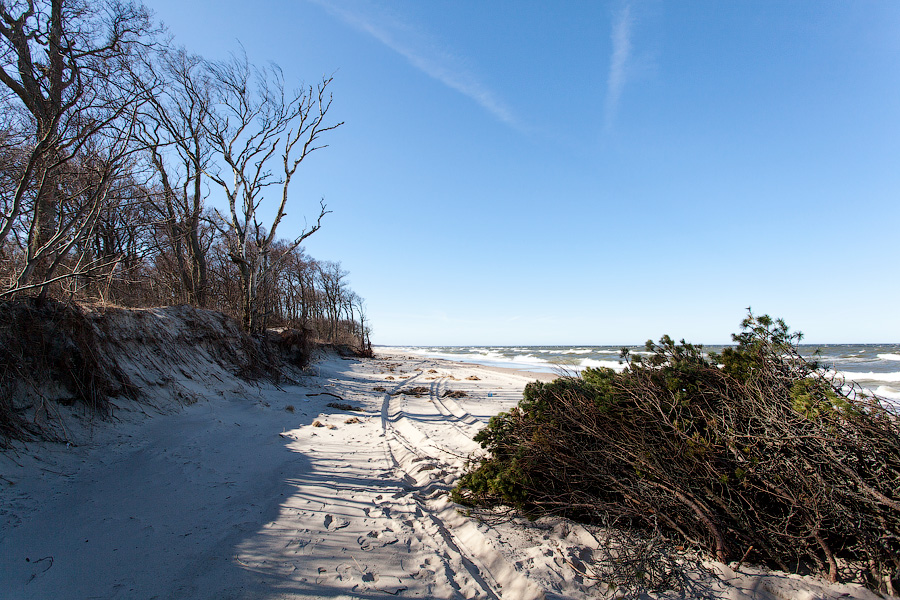«Спасение косы: любительский вариант»: фоторепортаж «Нового Калининграда.Ru»