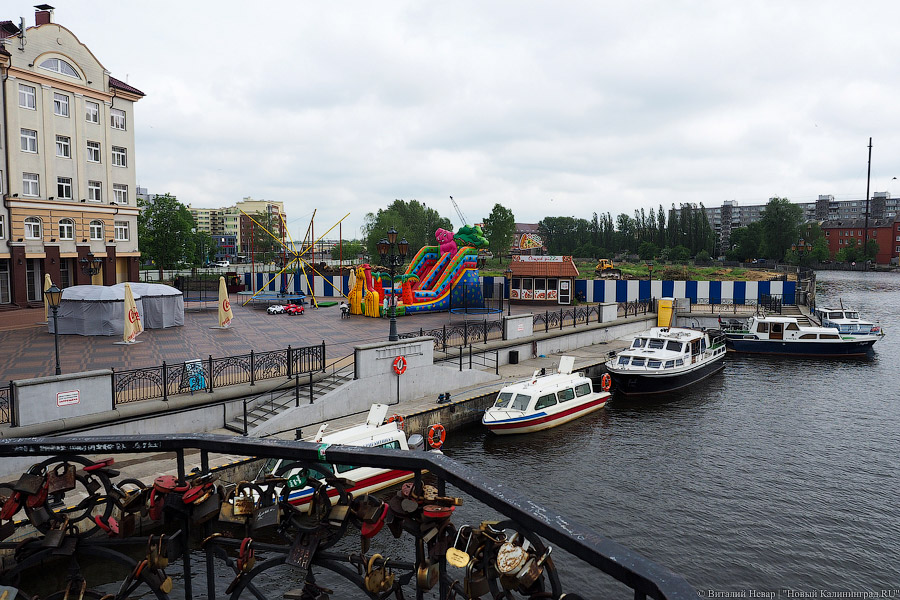 Началась вырубка на территории «Рыбной деревни-2»