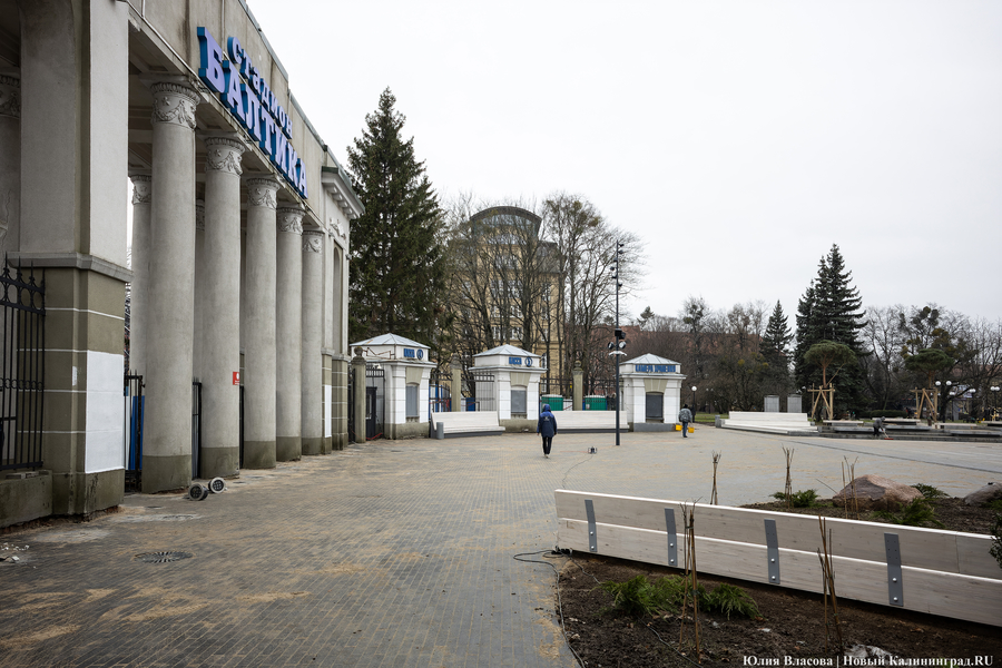 В трех соснах: как выглядит благоустроенная территория у стадиона «Балтика» (фото)