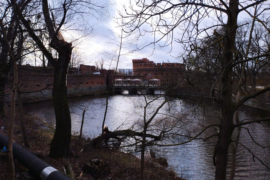 Столбы, деревья, указатели: последствия шторма в Калининграде (фото)