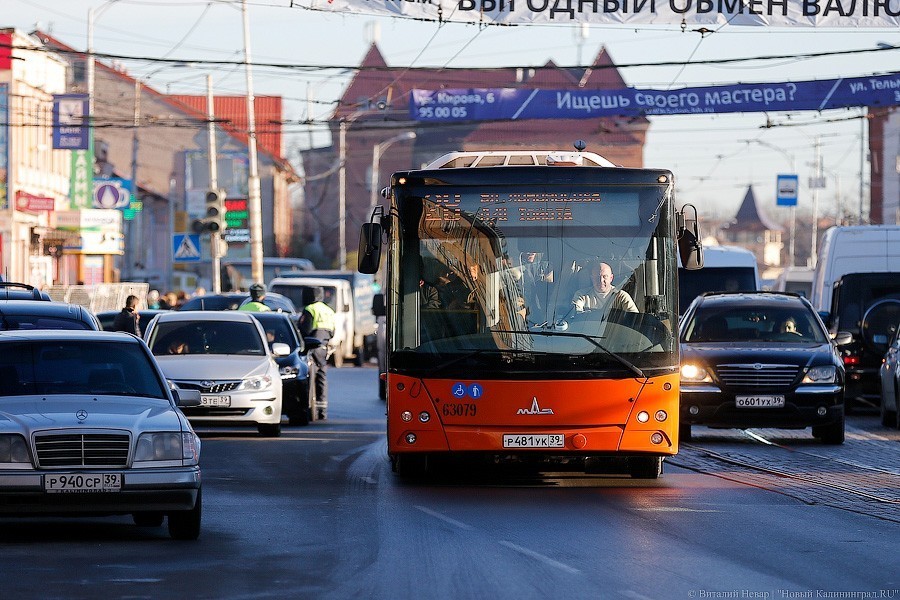 В Калининграде из-за проверок прокуратуры и ГИБДД автобусы на час позже вышли на линию
