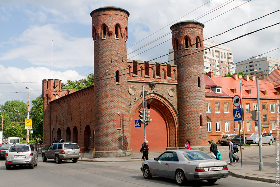 Фото — Алексей Милованов, «Новый Калининград.Ru»