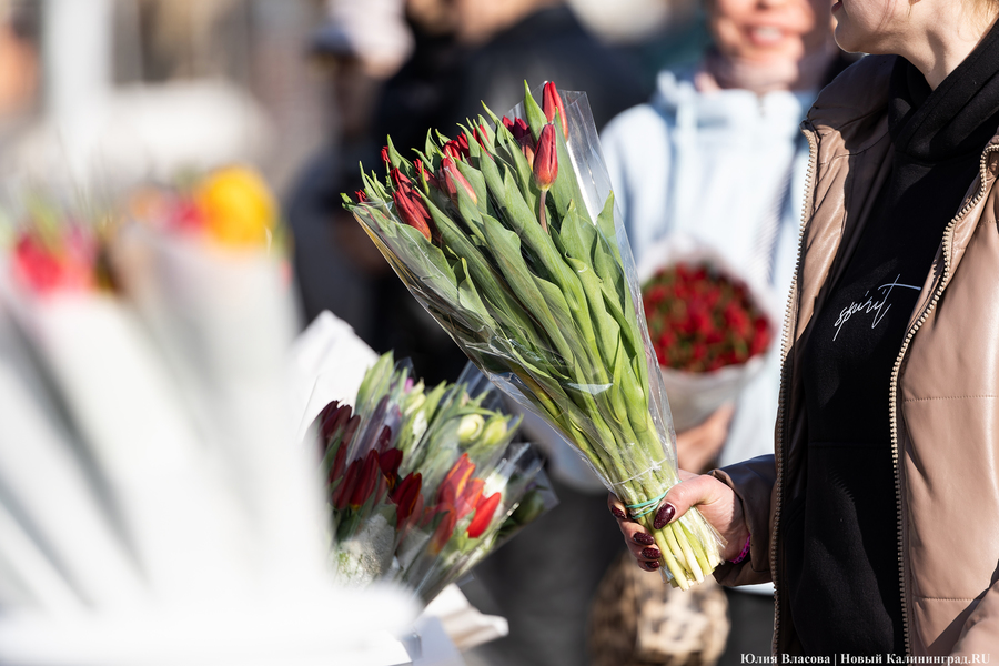 Кругом мимозы и тюльпаны: как выглядят улицы Калининграда 8 марта (фото)