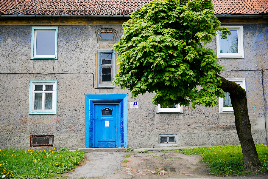 Фото — Виталий Невар, «Новый Калининград.Ru»