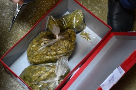 В Калининграде полиция уничтожила более 10 тысяч доз наркотиков (фото)