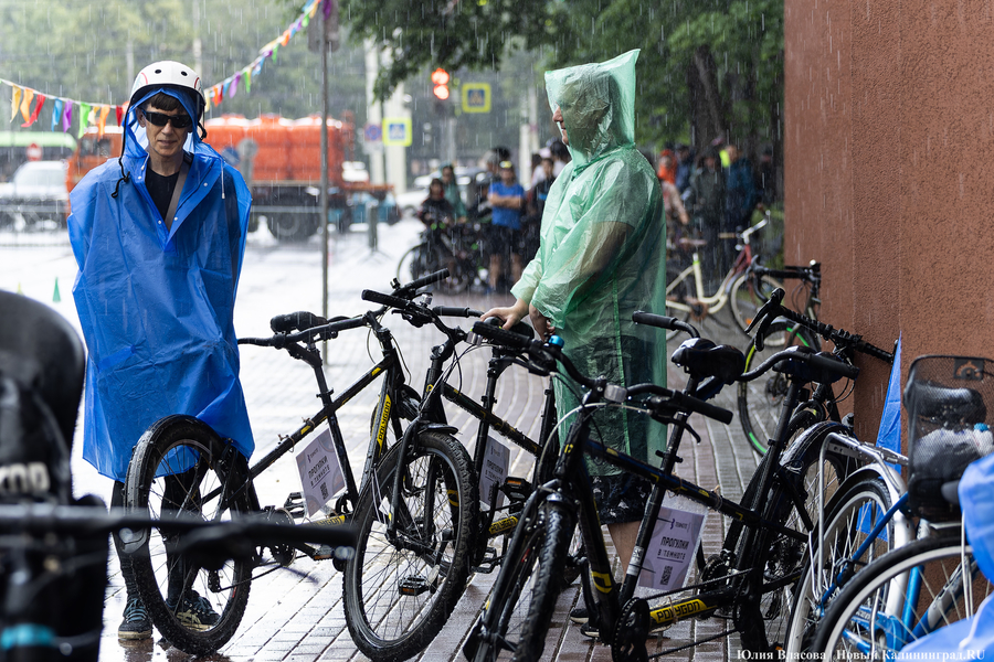 «Море положительных эмоций»: в Калининграде прошёл велопарад «День колеса» (фото)