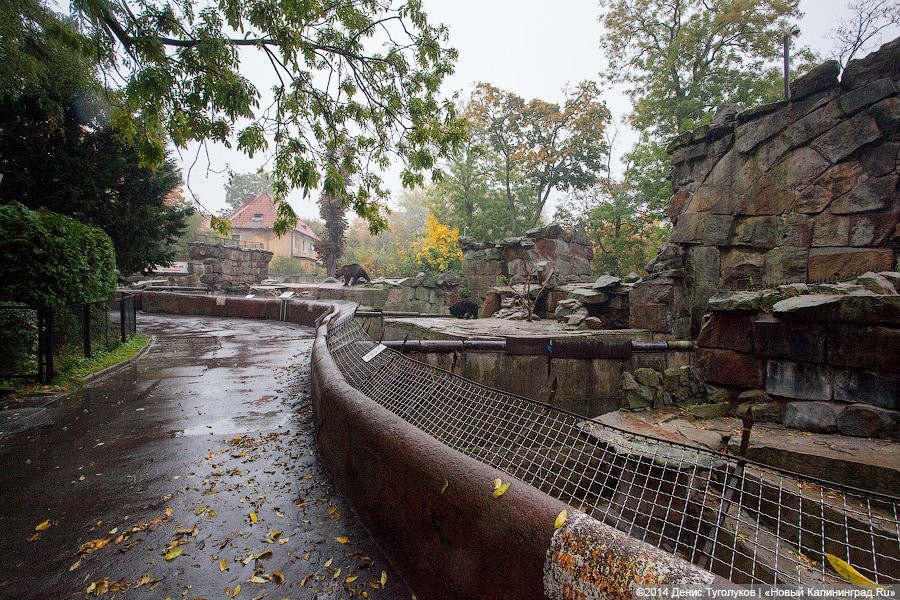 Один из входов в Калининградский зоопарк перекрыт