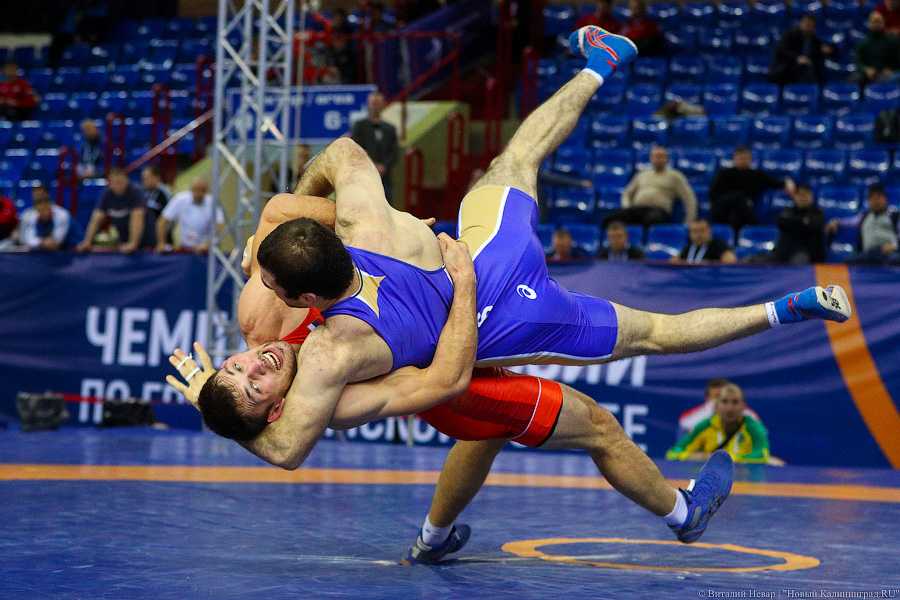 Просто мощь: чемпионат России по греко-римской борьбе идет в Калининграде (фото)