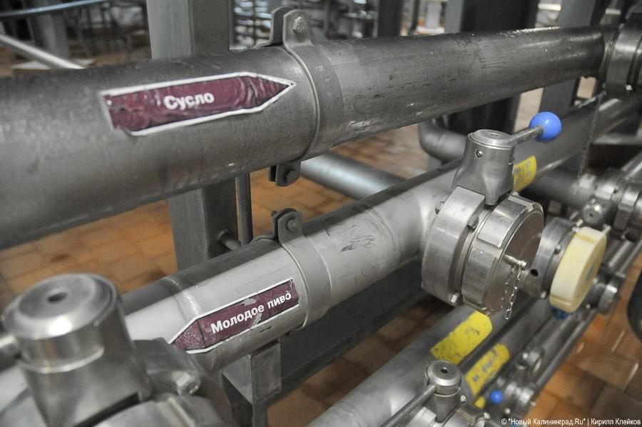 Фото — Кирилл Клейков, «Новый Калининград»