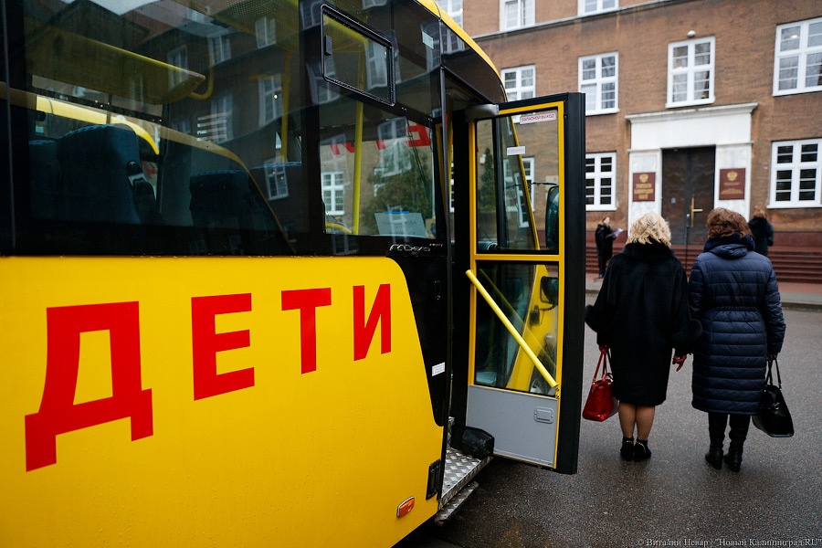 Жёлтые газели: муниципалитетам вручили ключи от новых школьных автобусов