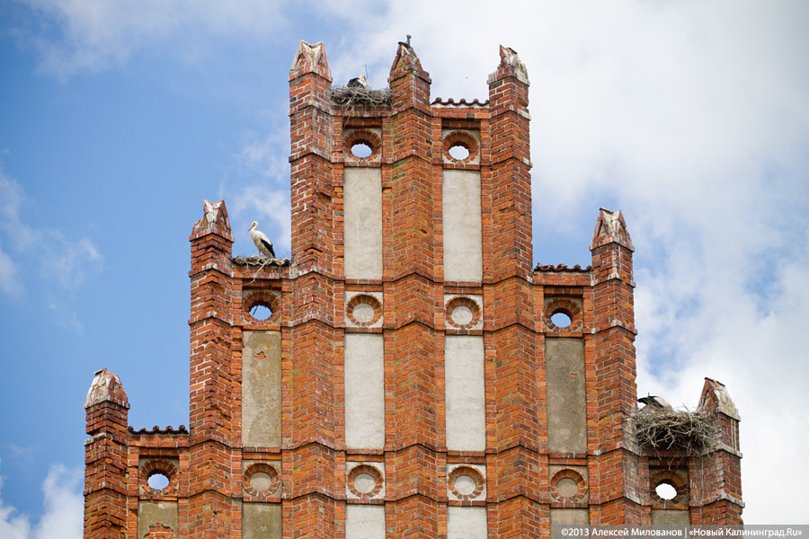 Протестанты и надгробия: кирху в пос. Дружба перестали восстанавливать после передачи РПЦ