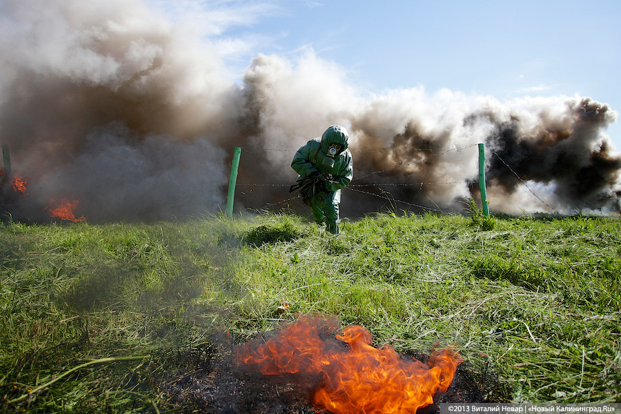 Полвека с морпехами: праздничные показательные выступления призывников 