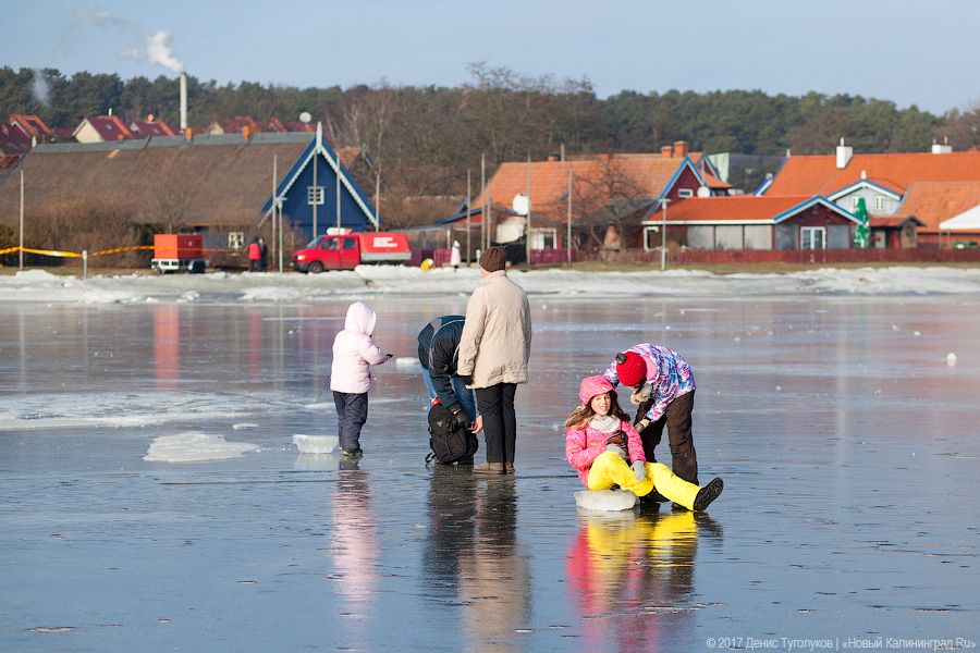 Рыба большая и маленькая: как прошёл День корюшки в Ниде
