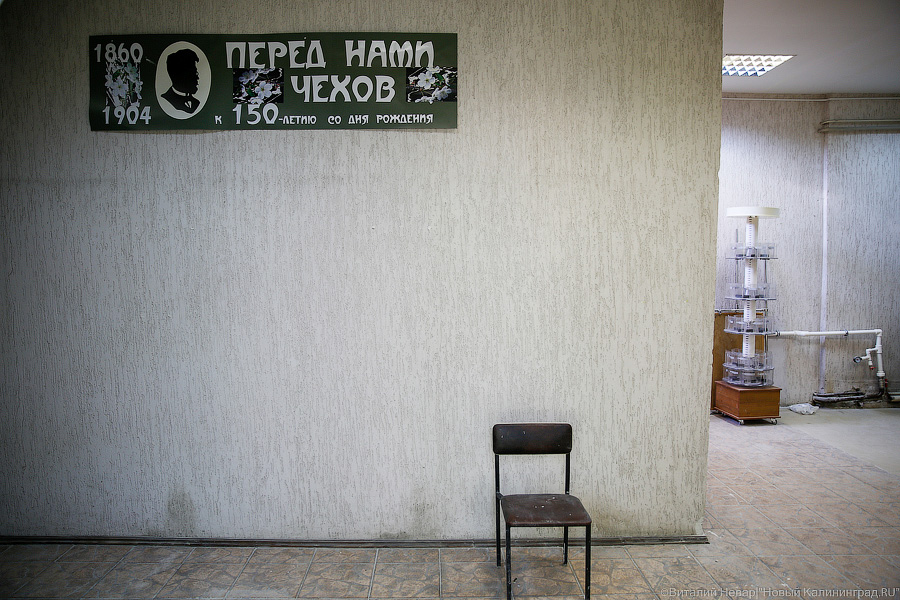 Главный библиотекарь Калининграда: мы вернули людей в библиотеки