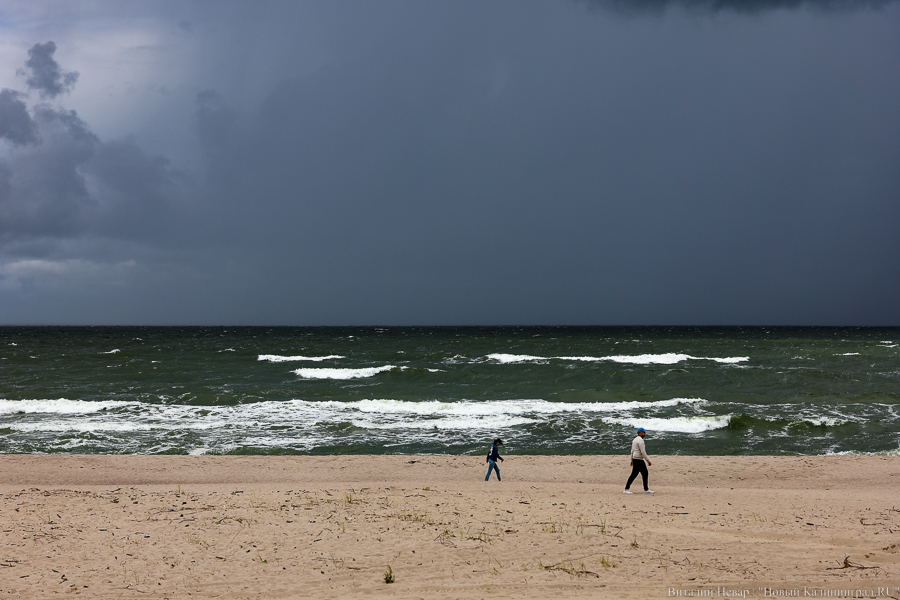 Фото: Виталий Невар / Новый Калининград 