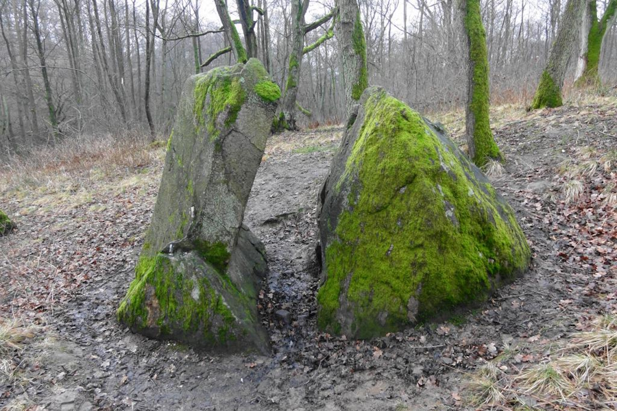 В Пионерском выделяют средства на тротуар и велодорожку к «Камню лжи» (фото)
