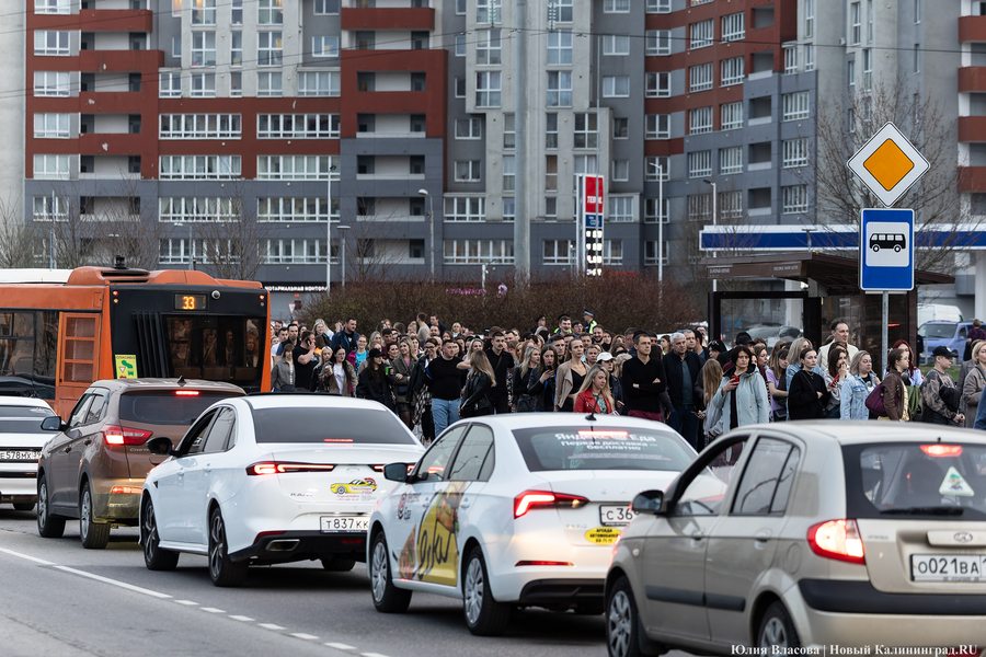 Глава дорожного комитета: у машин в нашей иерархии транспорта — последнее место