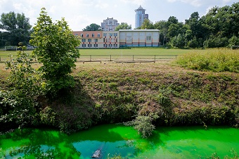 Мэрия Калининграда предупреждает о ярко-зеленой воде в Ялтинском пруду