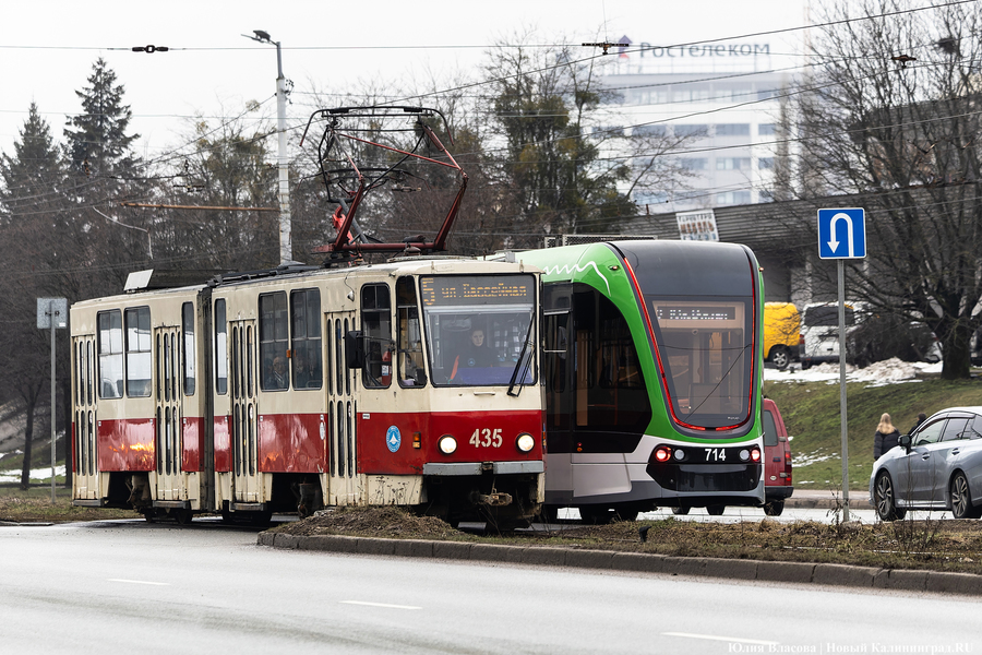 Горвласти планируют заложить проектирование всей трамвайной сети в бюджет-2026